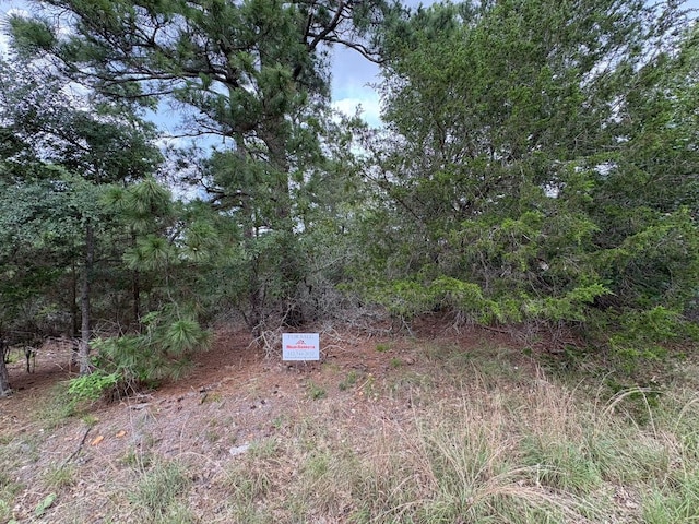 0 Kaelepulu Dr, Bastrop, TX 78602