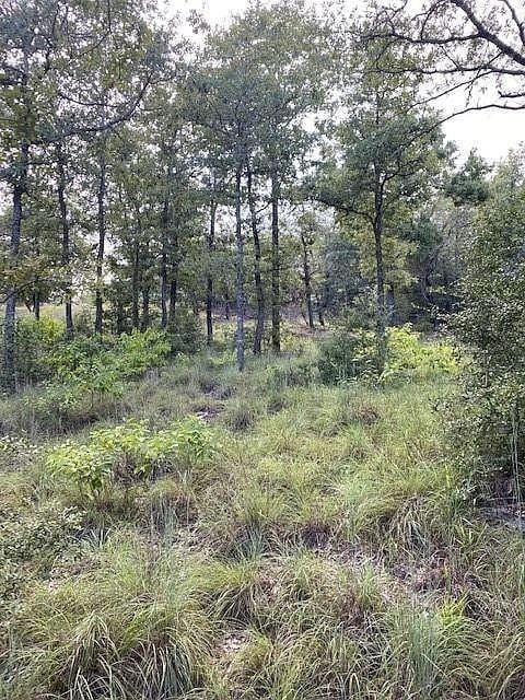 TBD Kaelepulu Dr, Bastrop, TX 78602