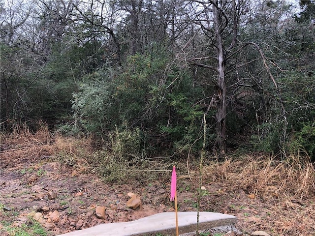TBD Kaelepulu Dr, Bastrop, TX 78602