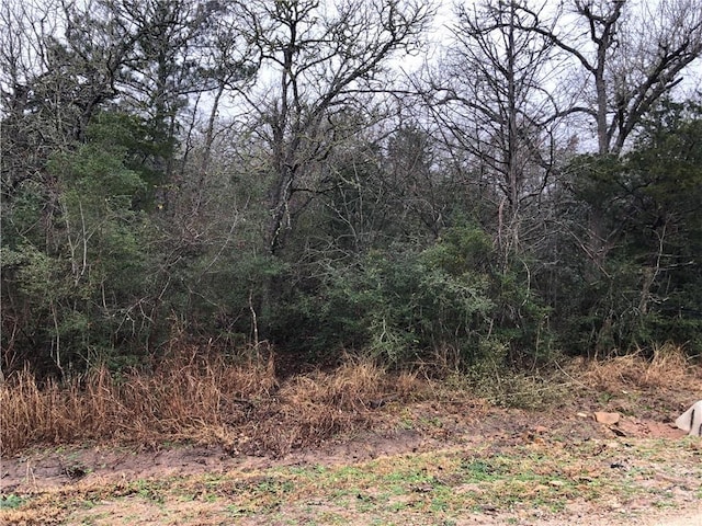 TBD Kaelepulu Dr, Bastrop, TX 78602