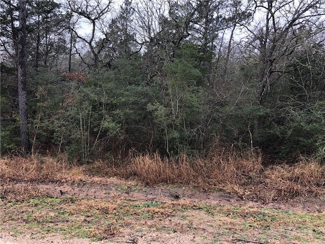 TBD Kaelepulu Dr, Bastrop, TX 78602