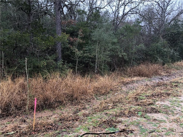 TBD Kaelepulu Dr, Bastrop, TX 78602
