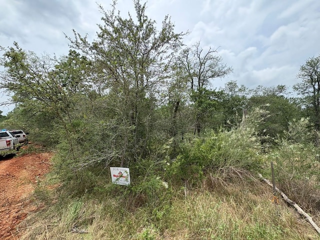 155 Helemano Dr, Bastrop, TX 78602