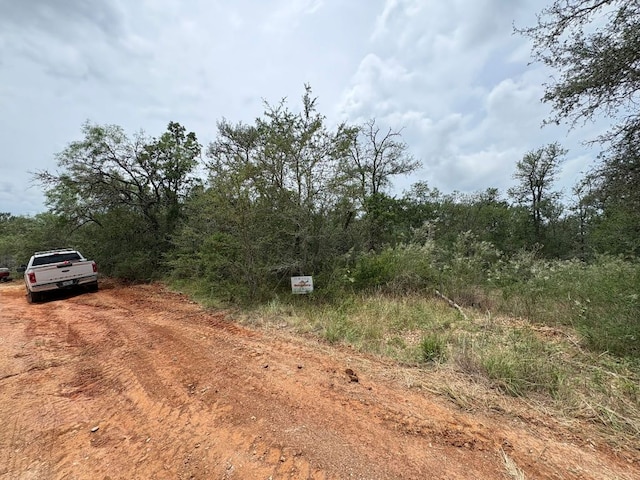 155 Helemano Dr, Bastrop, TX 78602