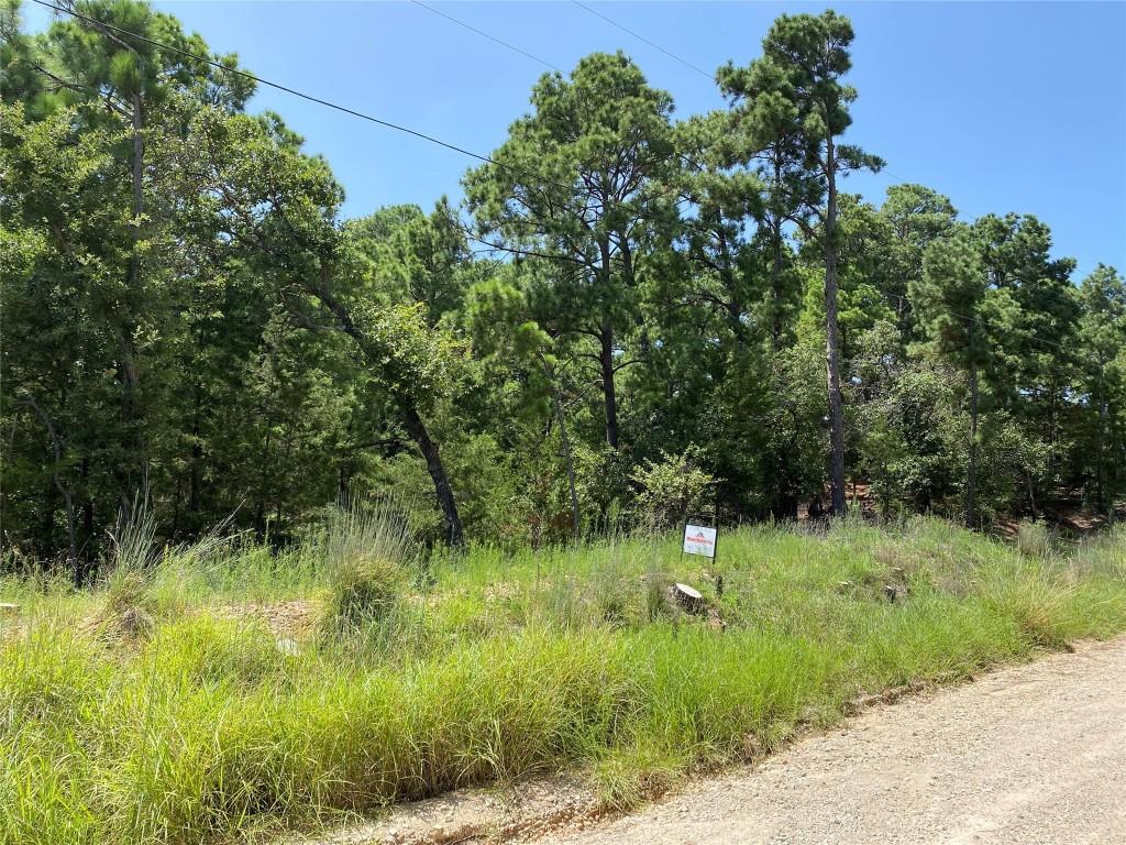 156 Molokini Dr, Bastrop, TX 78602