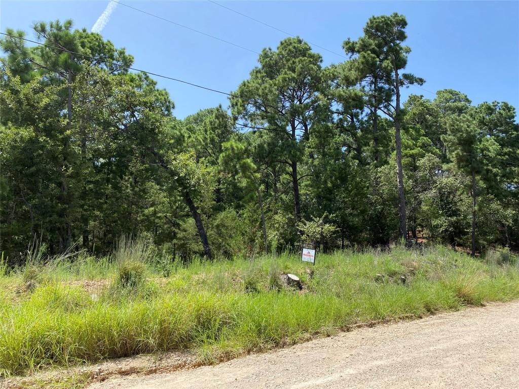 156 Molokini Dr, Bastrop, TX 78602