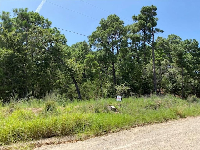 156 Molokini Dr, Bastrop, TX 78602