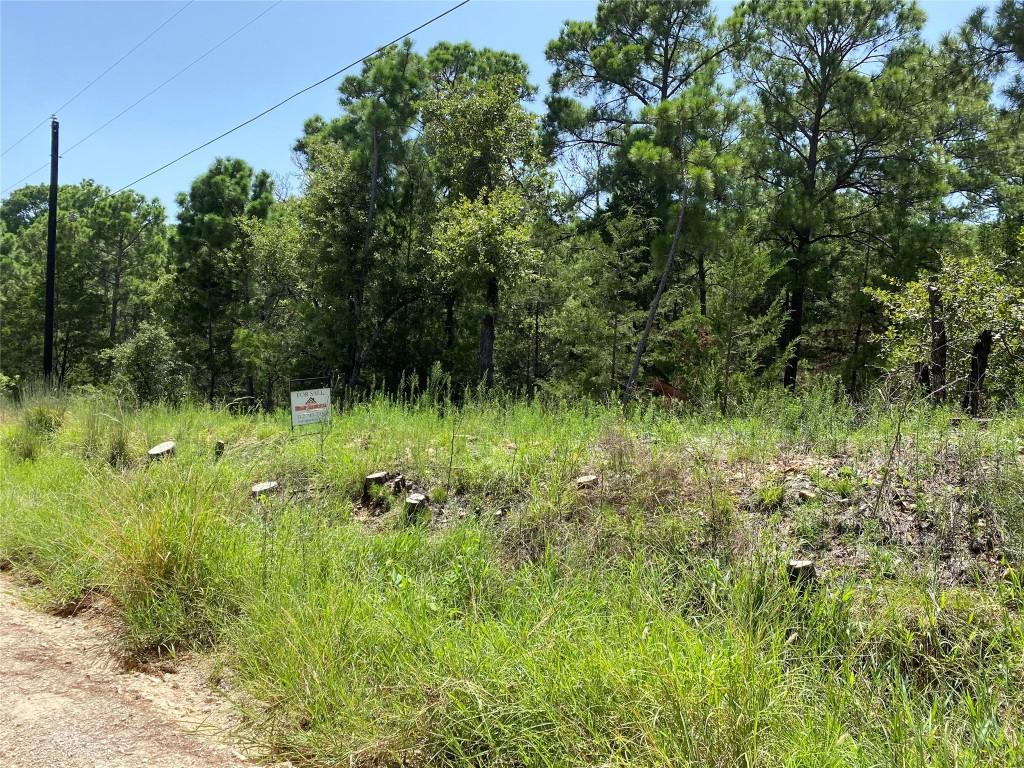 156 Molokini Dr, Bastrop, TX 78602