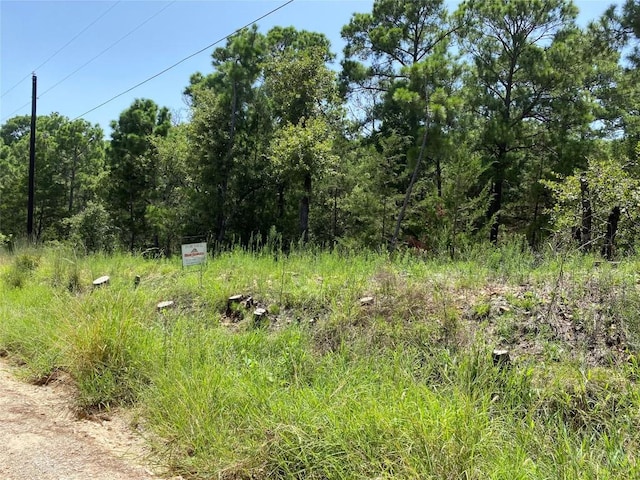 156 Molokini Dr, Bastrop, TX 78602