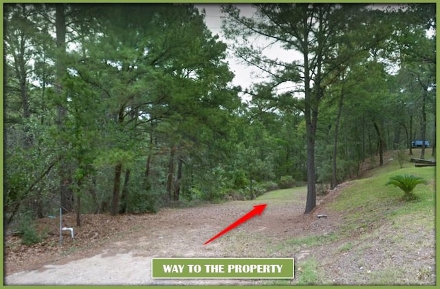 0 Pahalawe Ln, Bastrop, TX 78602