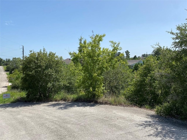 LOT455 Hawea Ct, Bastrop, TX 78602