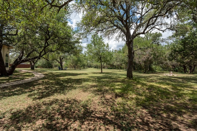 185 Ware Dr, Buda, TX 78610 - photo 33