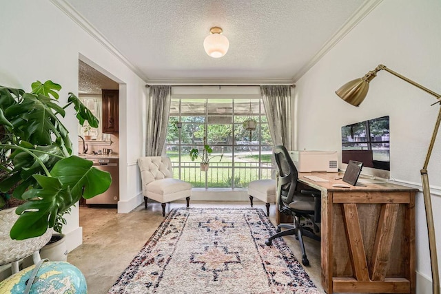 3610 Quiette Dr, Austin, TX 78754 - home office with ornamental molding, a textured ceiling, and concrete flooring