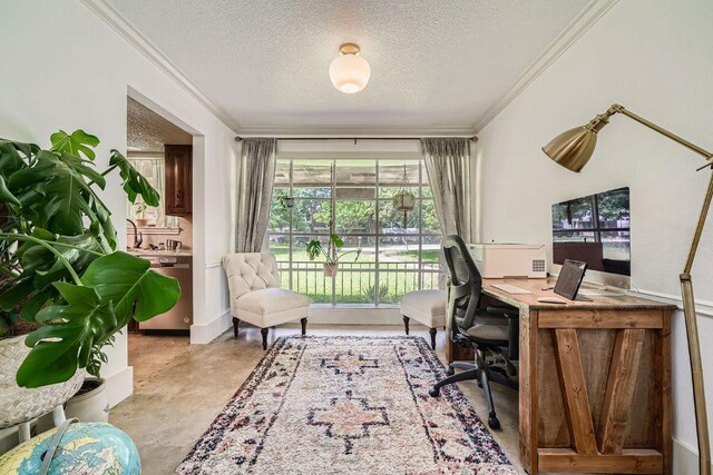 3610 Quiette Dr, Austin, TX 78754 - office space with crown molding, a textured ceiling, and finished concrete flooring
