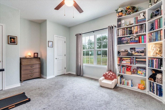 1033 Castleway Rd, New Braunfels, TX 78132 - sitting room with carpet floors and a ceiling fan