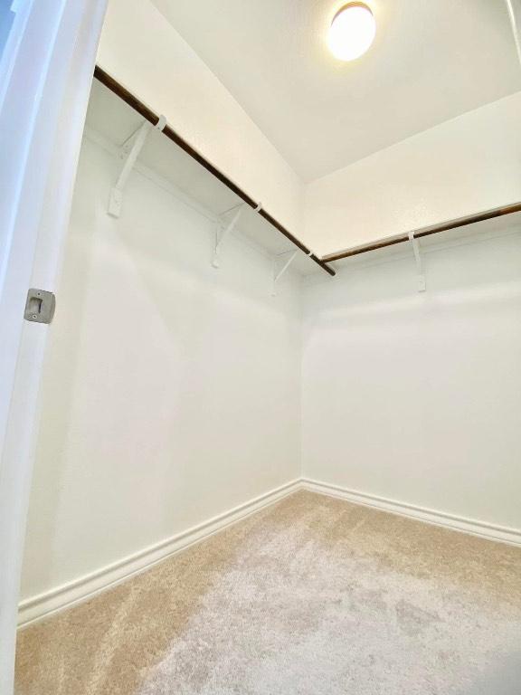 11713 Caithness Way, Austin, TX 78754 - walk in closet featuring carpet flooring