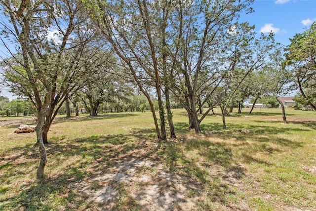 2409 Purgatory Rd, New Braunfels, TX 78132 - photo 5