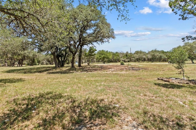2409 Purgatory Rd, New Braunfels, TX 78132 - photo 7