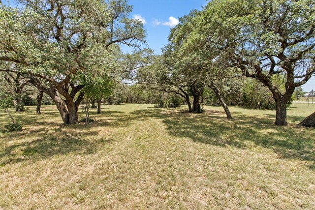 2409 Purgatory Rd, New Braunfels, TX 78132 - photo 10