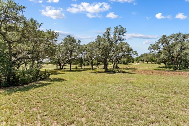 2409 Purgatory Rd, New Braunfels, TX 78132 - photo 17