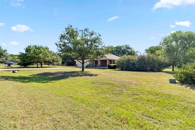 201 Murchison Dr, Cedar Creek, TX 78612 - view of green lawn
