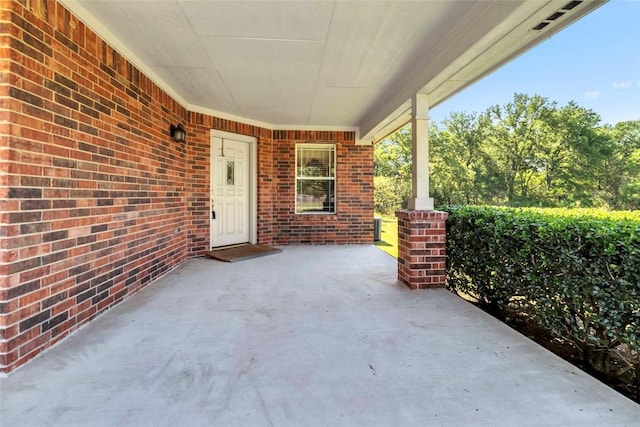 201 Murchison Dr, Cedar Creek, TX 78612 - view of covered porch