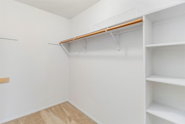 201 Murchison Dr, Cedar Creek, TX 78612 - spacious closet featuring light colored carpet
