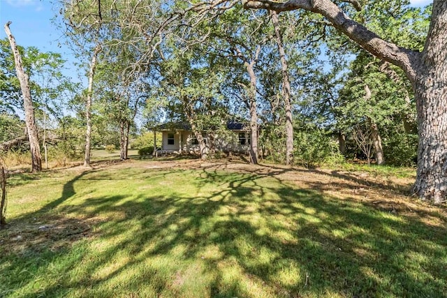 201 Murchison Dr, Cedar Creek, TX 78612 - view of green lawn