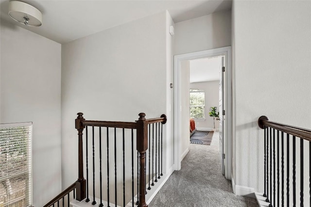 7709 Menchaca Rd Unit 14, Austin, TX 78745 - hallway featuring an upstairs landing and carpet flooring