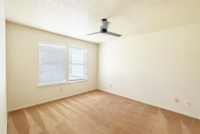 1224 Orchard Park Cir, Pflugerville, TX 78660 - photo 9