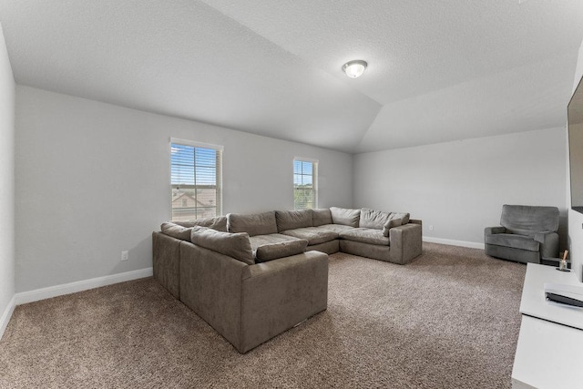13911 Tribeca, San Antonio, TX 78245 - living area featuring carpet, baseboards, and lofted ceiling