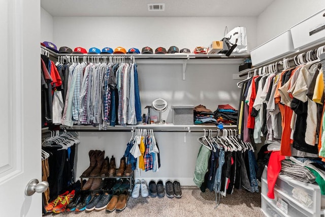 13911 Tribeca, San Antonio, TX 78245 - spacious closet featuring carpet floors