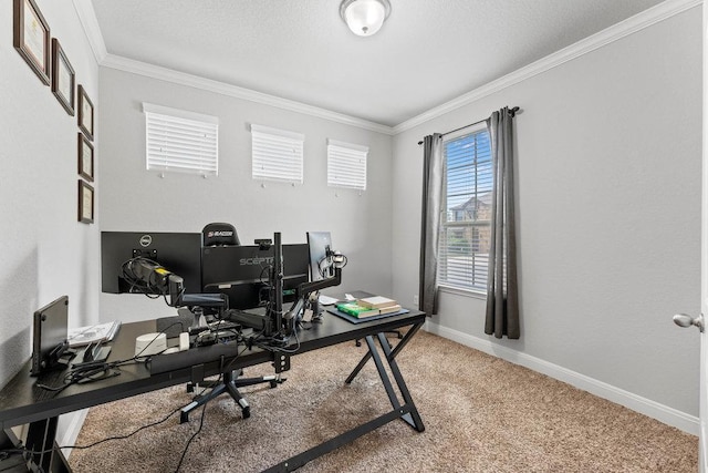 13911 Tribeca, San Antonio, TX 78245 - home office with ornamental molding, light colored carpet, and baseboards