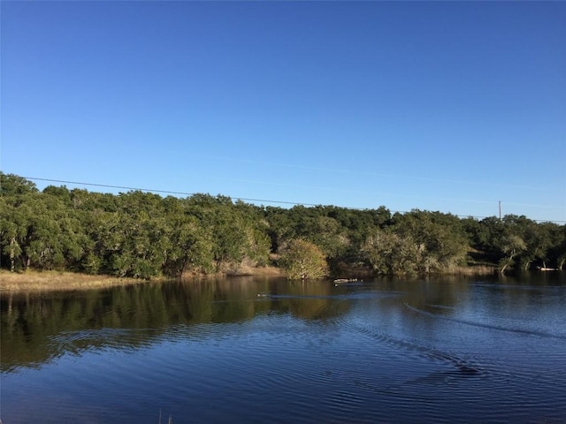 10003 Baxter Ln, Austin, TX 78736 - water view with a forest