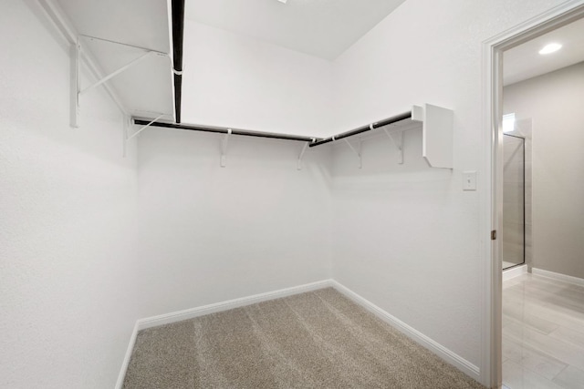 122 Elm Branch Trl, Taylor, TX 76574 - spacious closet with light carpet