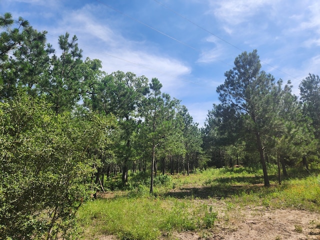 124 Paintbrush Ln, Bastrop, TX 78602 - photo 1