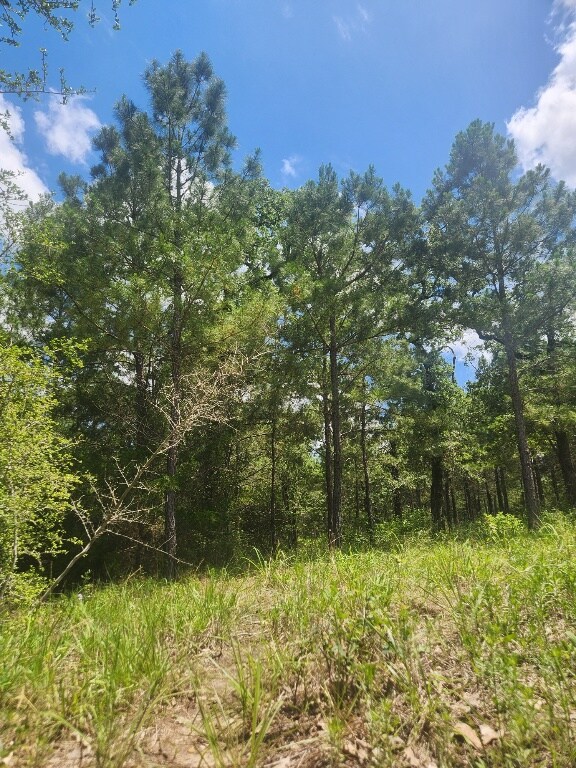 124 Paintbrush Ln, Bastrop, TX 78602 - photo 3
