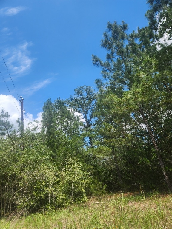 124 Paintbrush Ln, Bastrop, TX 78602 - photo 4