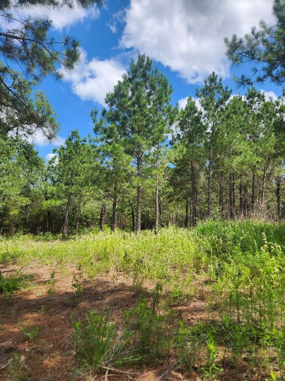 124 Paintbrush Ln, Bastrop, TX 78602 - photo 9