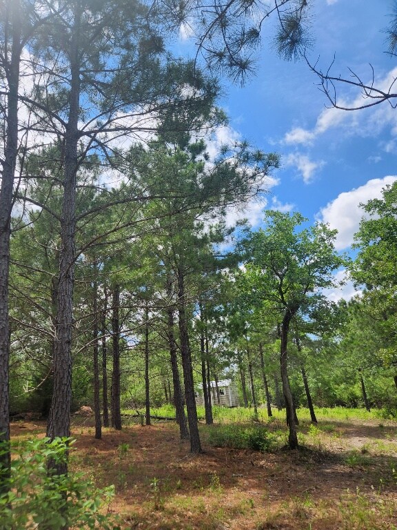 124 Paintbrush Ln, Bastrop, TX 78602 - photo 12