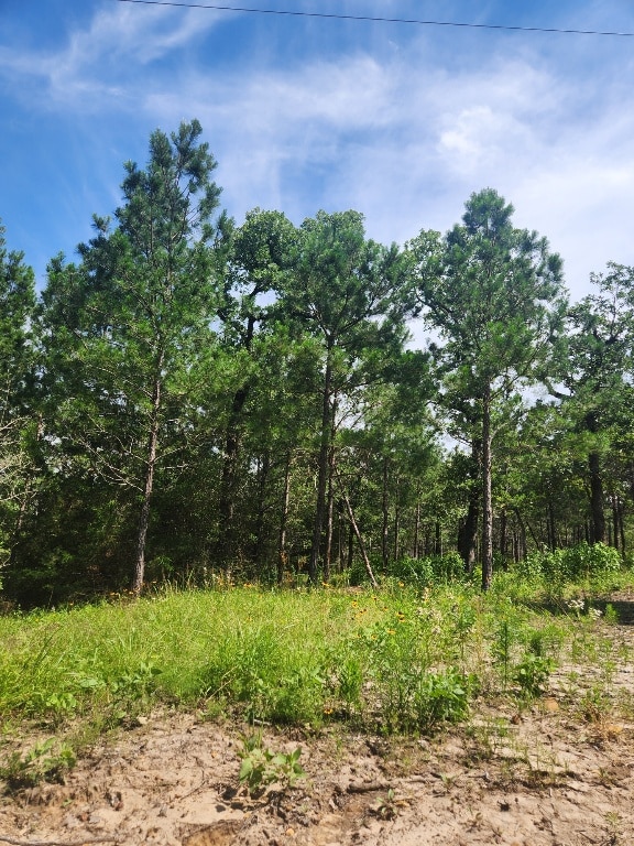 124 Paintbrush Ln, Bastrop, TX 78602 - photo 14