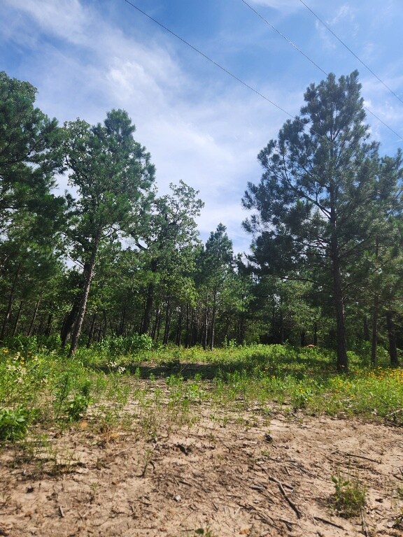 124 Paintbrush Ln, Bastrop, TX 78602 - photo 15