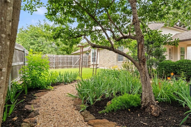 10500 Hendon St, Austin, TX 78748 - view of yard