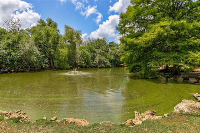10500 Hendon St, Austin, TX 78748 - water view