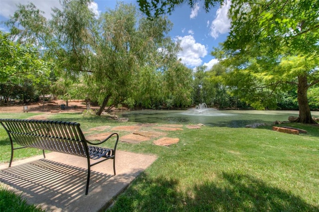 10500 Hendon St, Austin, TX 78748 - view of green lawn with a water view and view of wooded area