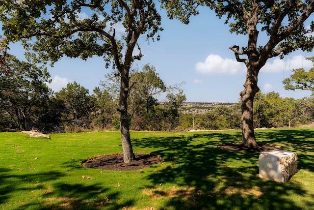 828 Azul Lagoon Dr, Leander, TX 78641 - photo 32