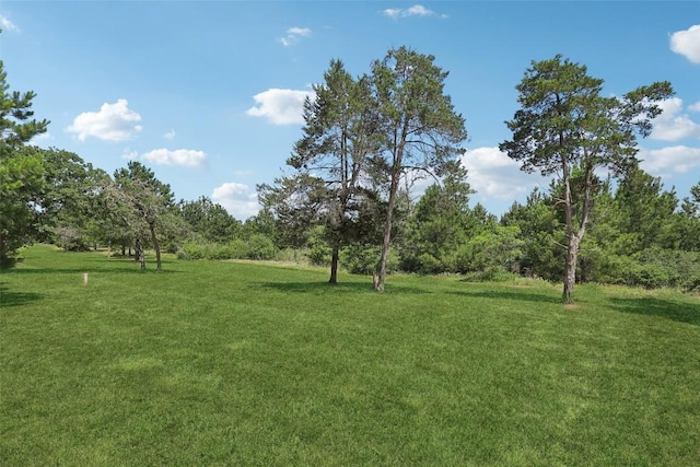 129 Country Air Dr, Bastrop, TX 78602 - photo 3