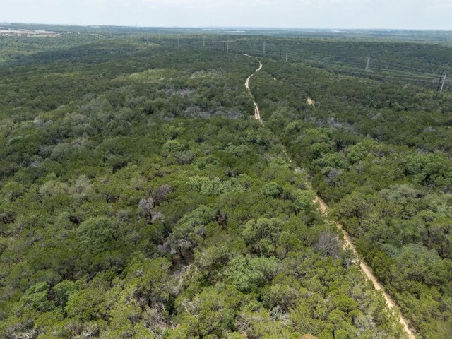 8132 Amelia Cv, Austin, TX 78750 - aerial view of property's location featuring a heavily wooded area
