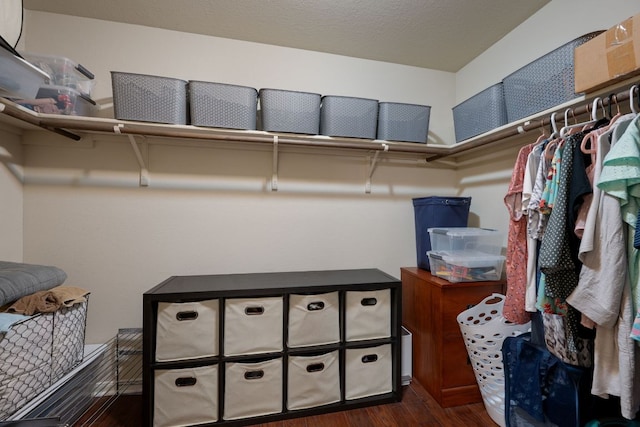 169 Voyager Cv, Kyle, TX 78640 - photo 20