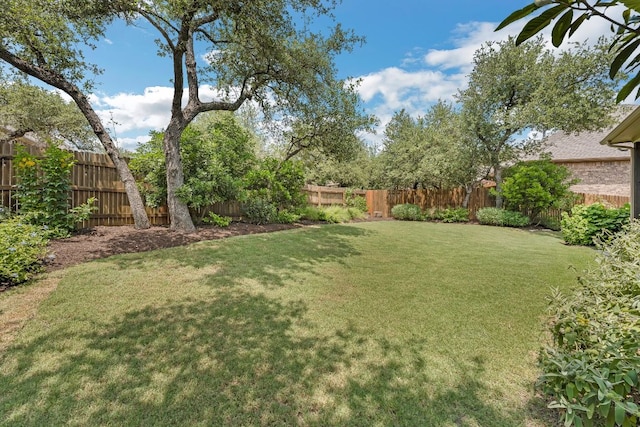 8316 Evelina Trl, Austin, TX 78737 - view of yard